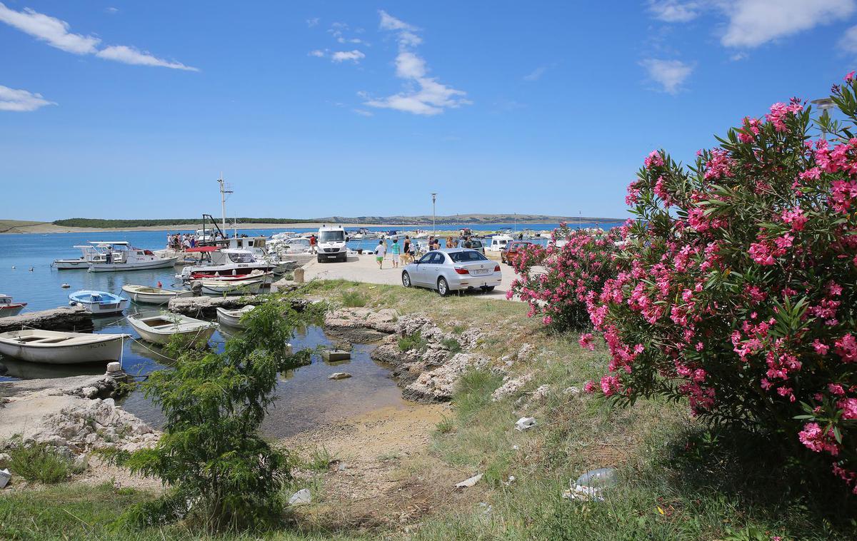 Povljana na otoku Pag | Izbruh nasilja je zmotil druge goste kampa.  | Foto Pixsell