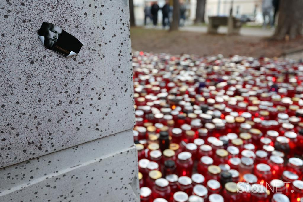 Protestni shod Novo mesto