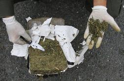 Hrvaška policija zasegla 800 kilogramov marihuane