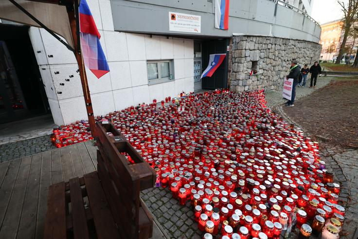 Protestni shod Novo mesto | Foto: Bojan Puhek