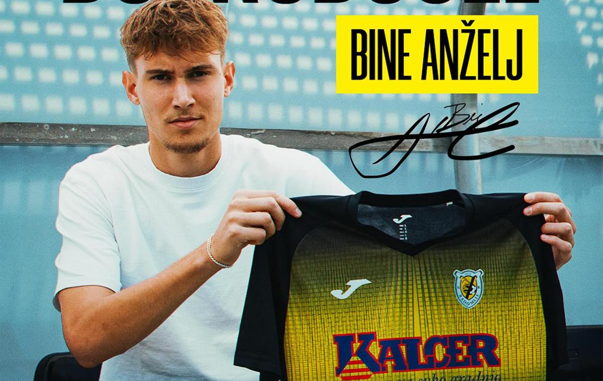 Bine Anželj
