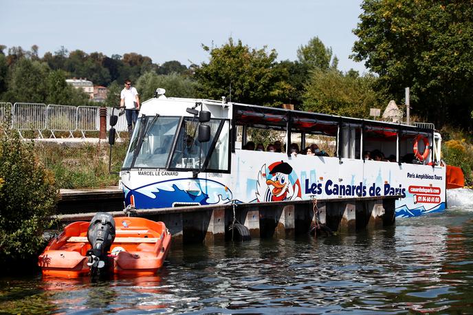 Sena, avtobus | Po besedah uradnikov v departmaju Eure posamezne beluge včasih odplavajo tudi južneje kot običajno in lahko začasno preživijo tudi v sladki vodi. (Fotografija je simbolična.) | Foto Reuters