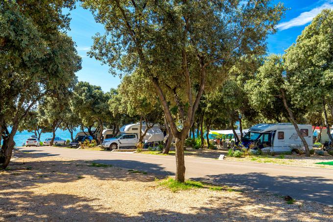Kamp Straško na Pagu, najboljši med velikimi kampi v Dalmaciji | Foto: spletna stran avtokampa