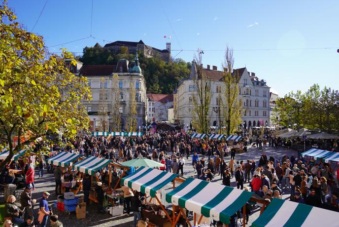 November obljublja vrhunsko vinsko pokušino