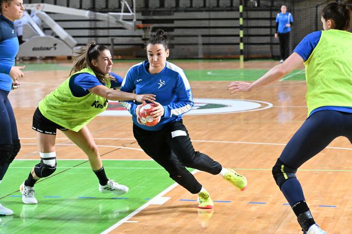 Slovenska ženska rokometna reprezentanca | Slovenke bodo na EP nastopile v prenovljeni zasedbi. | Foto RZS