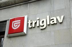 Zavarovalnica Triglav v devetih mesecih z 81 milijoni evrov dobička