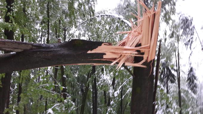 V sredo do večera je ponekod po Sloveniji zapadlo tudi več kot 15 centimetrov snega, ki je povzročal številne nevšečnosti. | Foto: Katja Nakrst