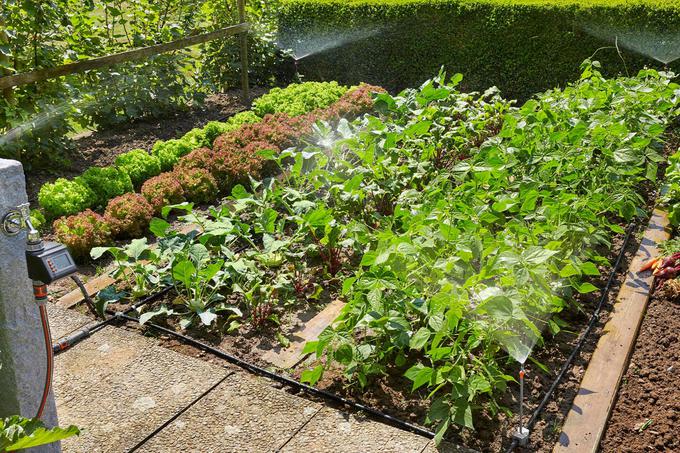 GARDENIN začetni set za strnjene zasaditve ponuja optimalno nego rastlin za vse vaše cvetlične in zelenjavne grede. | Foto: Gardena