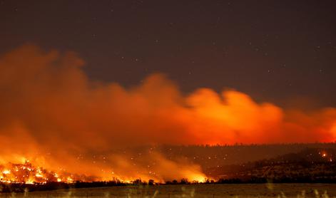 V Kaliforniji divja četrti najhujši gozdni požar v zgodovini zvezne države