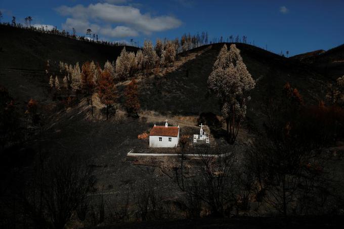 Po gozdnem požaru v vasi blizu Serte na Portugalskem. Vir: Reuters | Foto: 