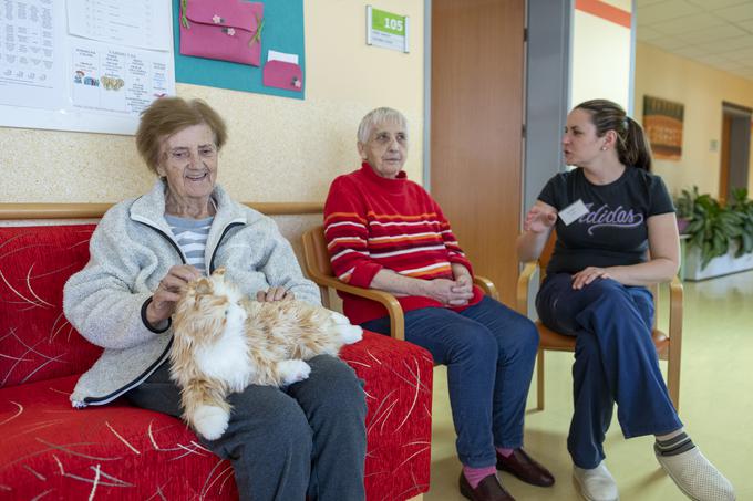 Interaktivna mačka je za osebe z demenco zelo uporabna. | Foto: Matjaž Vertuš