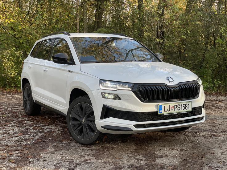 Škoda karoq | Foto: Gregor Pavšič