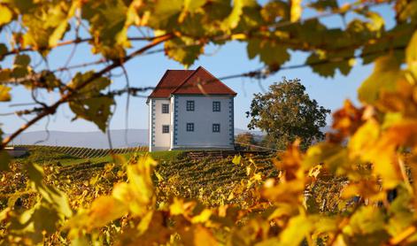 Doživite Zlati grič iz prve roke #nagradna igra