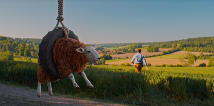 Ovce detektivke | Foto: Jučer