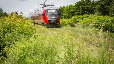 Pred železniško postajo Bled vlak do smrti povozil osebo
