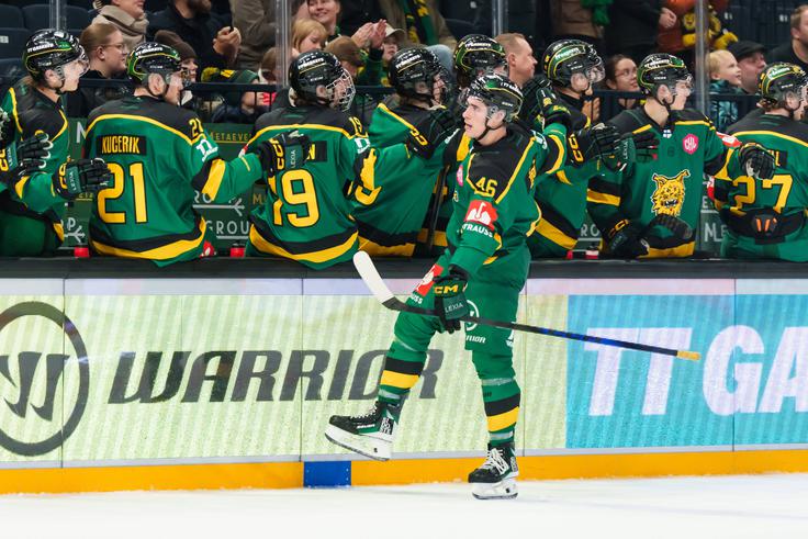 Ilves Matica Töröka v prvem delu ni izgubil niti točke in v osmino finala vstopa kot edina stoodstotna ekipa. | Foto: Guliverimage