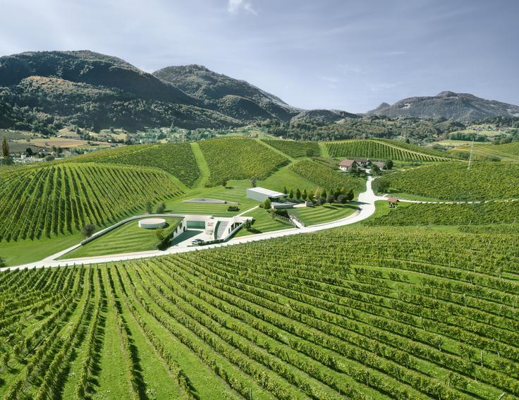 Vinorodno območje Škalc nad Slovenskimi Konjicami je eno najstarejših pri nas, a hkrati z eno najsodobnejših vinskih kleti v tem delu Evrope. Vkopana v pobočje se neopazno zlije s krajino.  | Foto: Zlati grič