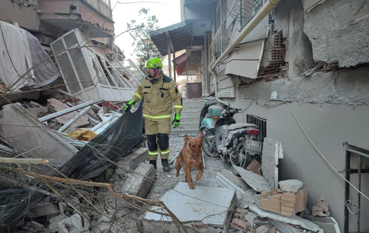 Reševalni pes | Reševalni psi se zaradi razbite steklovine in drugih ostrih predmetov pri delu pogosto poškodujejo. | Foto Twitter/Uprava za zaščito in reševanje