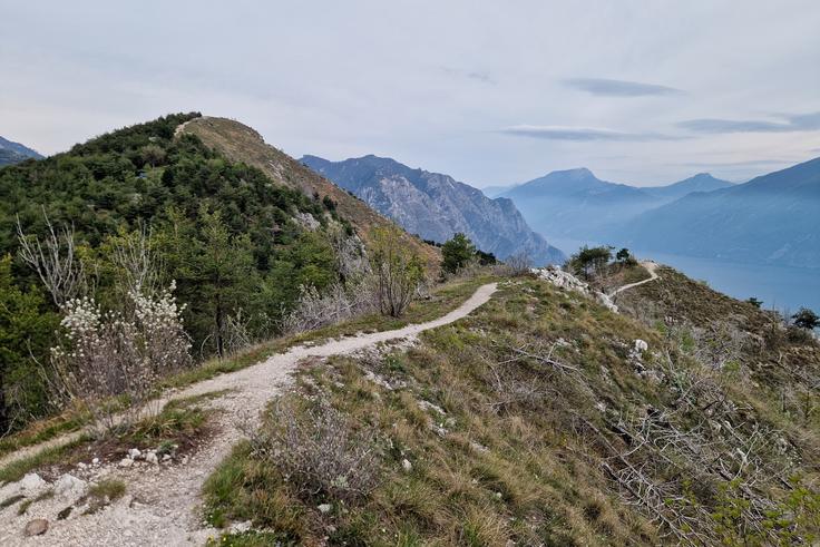 Po razglednem grebenu na Monte Bestone, 900 metrov na Gardskim jezerom | Foto: Matej Podgoršek