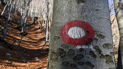 Gorski tek v Sloveniji že 55 let. Si upate v strm klanec na Črno prst?