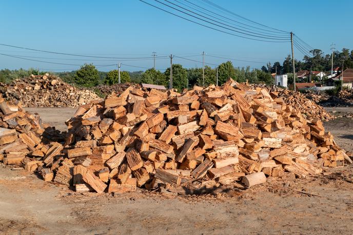 Drva | Moški na Hrvaškem je objavil oglas za prodajo drv na Facebooku in ga pozabil izbrisati. | Foto Shutterstock