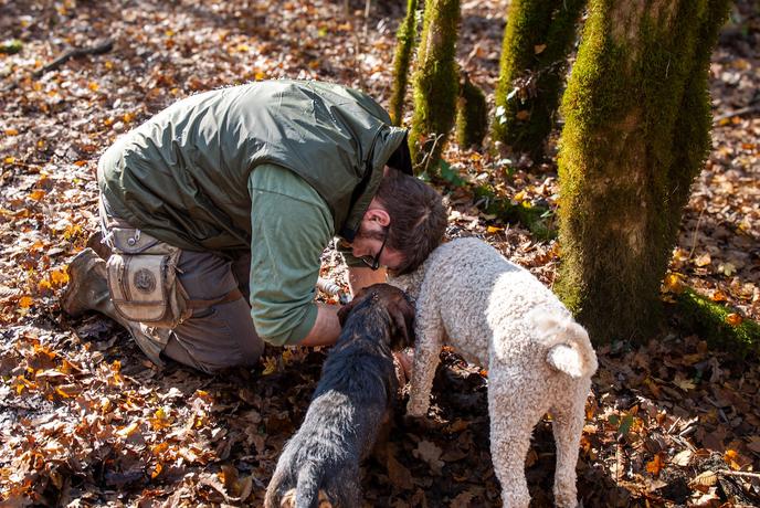 Najdragocenejši okus jeseni – beli tartuf