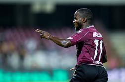 Olimpija krepi napad, prihajata Kallon in Tuci