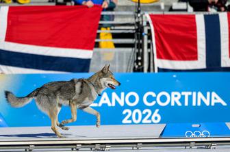 Nepričakovan obiskovalec presenetil tekačice: Kaj za vraga?