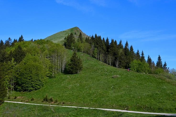Na sedlu Suha je pred nami greben Golice s pešpotjo, od koder se najprej vzpnemo na Malo Golico. | Foto: Matej Podgoršek
