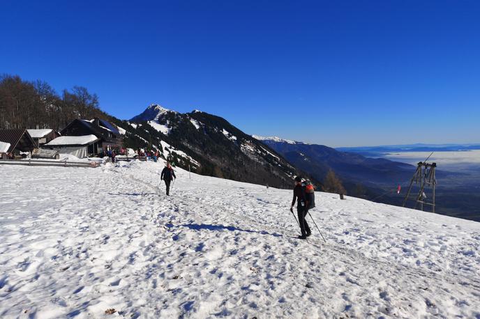 Pot na Kriška gora | Na območju Kriške gore so včeraj opazili medveda. Pohodnike pozivamo k izdatnejši previdnosti.  | Foto Matej Podgoršek