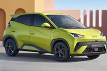 BYD dolphin surf