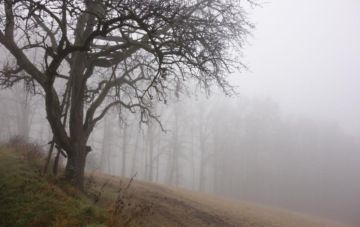 deževno, megleno vreme | Foto Shutterstock