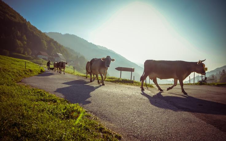 Foto: Marko Šinkovec, www.slovenia.info | Foto: 