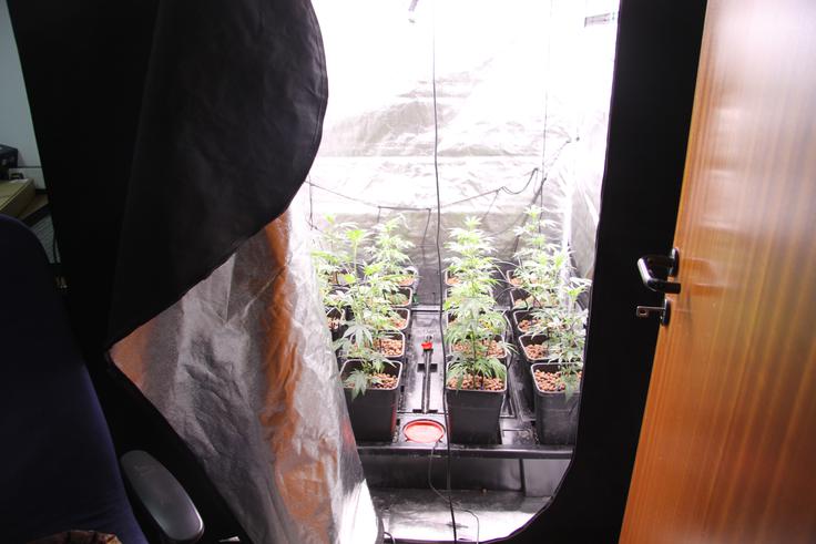 droge, zaseg, Trzin, sadike, pripomočki | Foto: PU Ljubljana