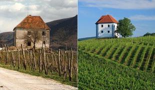 Zlati Grič praznuje 20 let delovanja