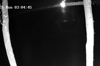 Iz Litve poročajo o strmoglavljenem dronu