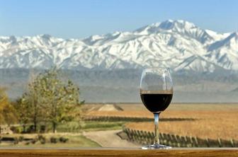 Malbec, trend letošnjega leta