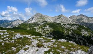 Pravljična pot z razgledi in planikami #video
