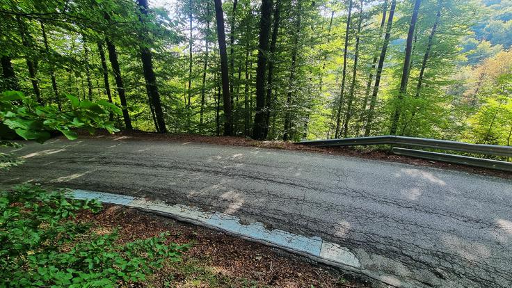 Alpine A290 | Foto: Gregor Pavšič