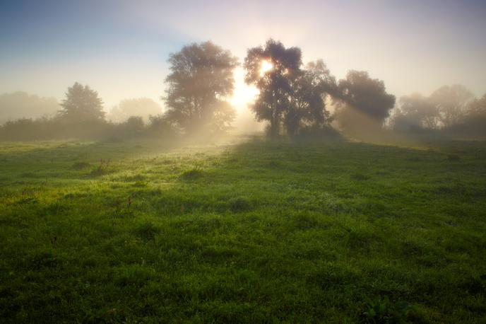 meglice | Biovreme: Danes bo vremenska obremenitev popustila. V nedeljo bo vpliv vremena na počutje ugoden. | Foto Shutterstock