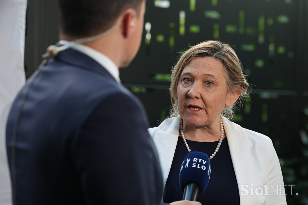 Referendum, sedež stranke SDS.