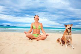 V modi je DOGA – joga za pse