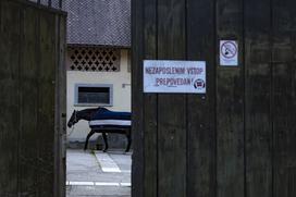 Pedagoško raziskovalni center za konjerejo Krumperk