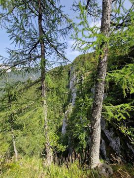 Iskalna akcija, Velika planina