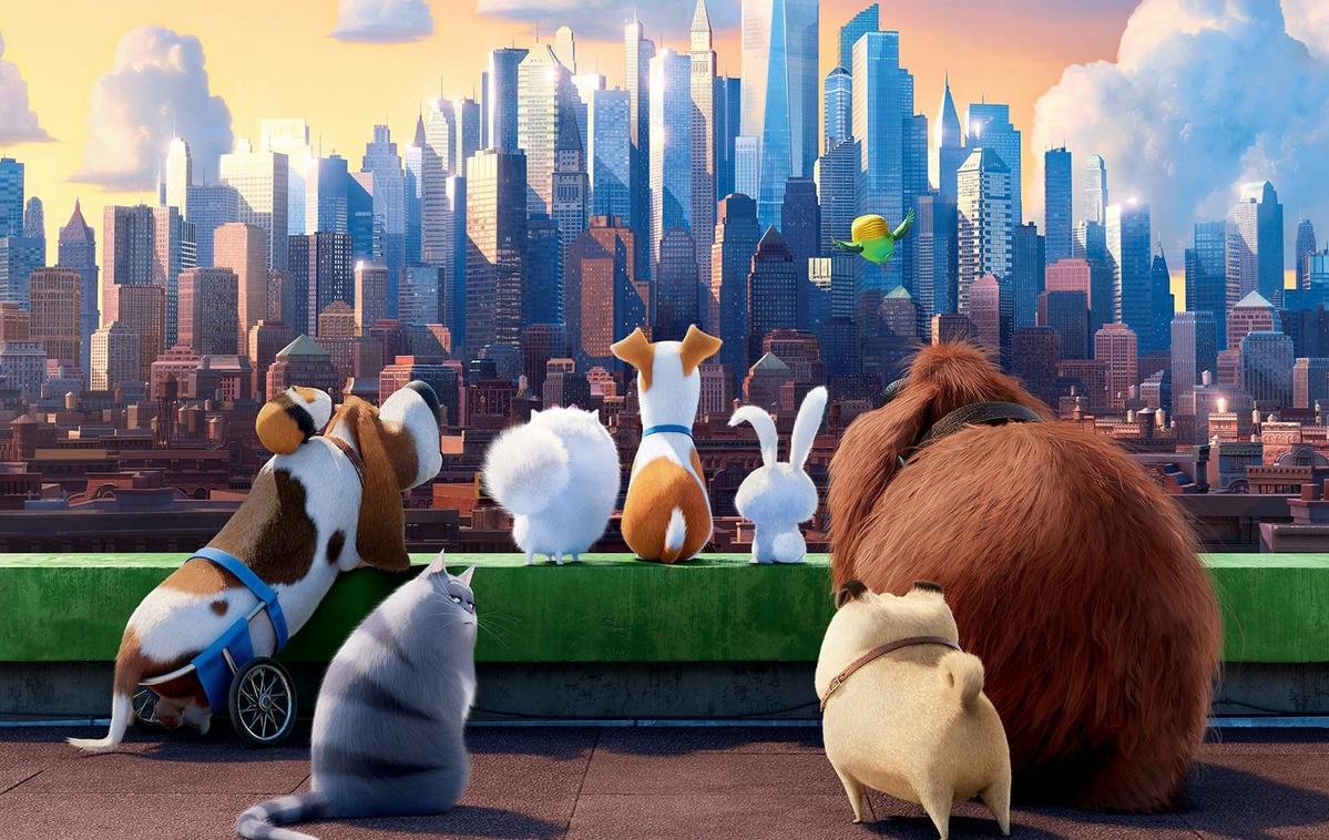 Skrivno življenje hišnih ljubljenčkov | The Secret Life of Pets © 2016 Universal Studios. All Rights Reserved.