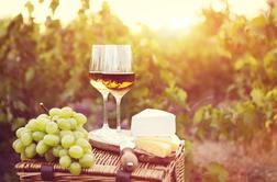Pet zanimivih dejstev o vinu