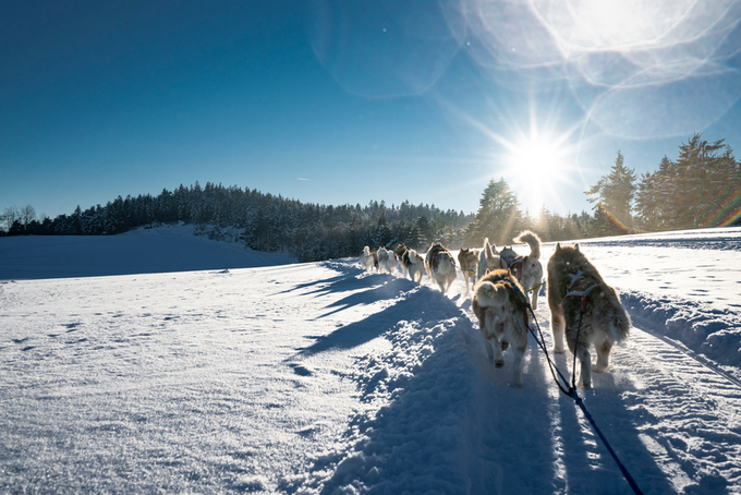 Avstrija Waldviertel | Foto: Robert Herbst