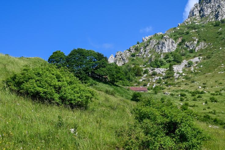 Zadnji del vzpona prek travnika na planino Sleme | Foto: Matej Podgoršek