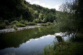 Turistična ekološka kmetija Čemas Vinica Zilje Bela Krajina Kolpa