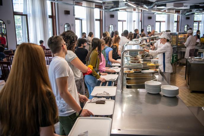 Šolsko kosilo | Z novim zakonom je predviden tudi pilotni projekt osrednje šolske kuhinje, kjer bi lahko pripravili večje število zdravih obrokov za več vzgojno-izobraževalnih zavodov.  | Foto Shutterstock